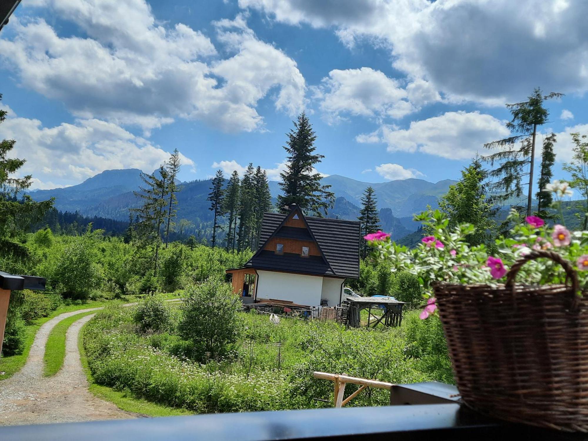 Goralska Chata Przy Dolinie Chocholowskiej Witow  Exterior photo